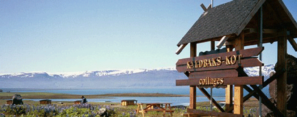 Kaldbaks-kot cottages Husavik Iceland summer picture