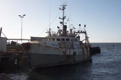 Cyndan (4)