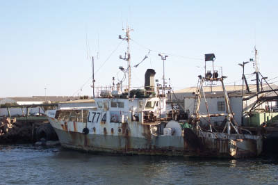 Cyndan (5)